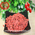 Conventional Goji Berry B Grade 380 Low Pesticide Goji Berries